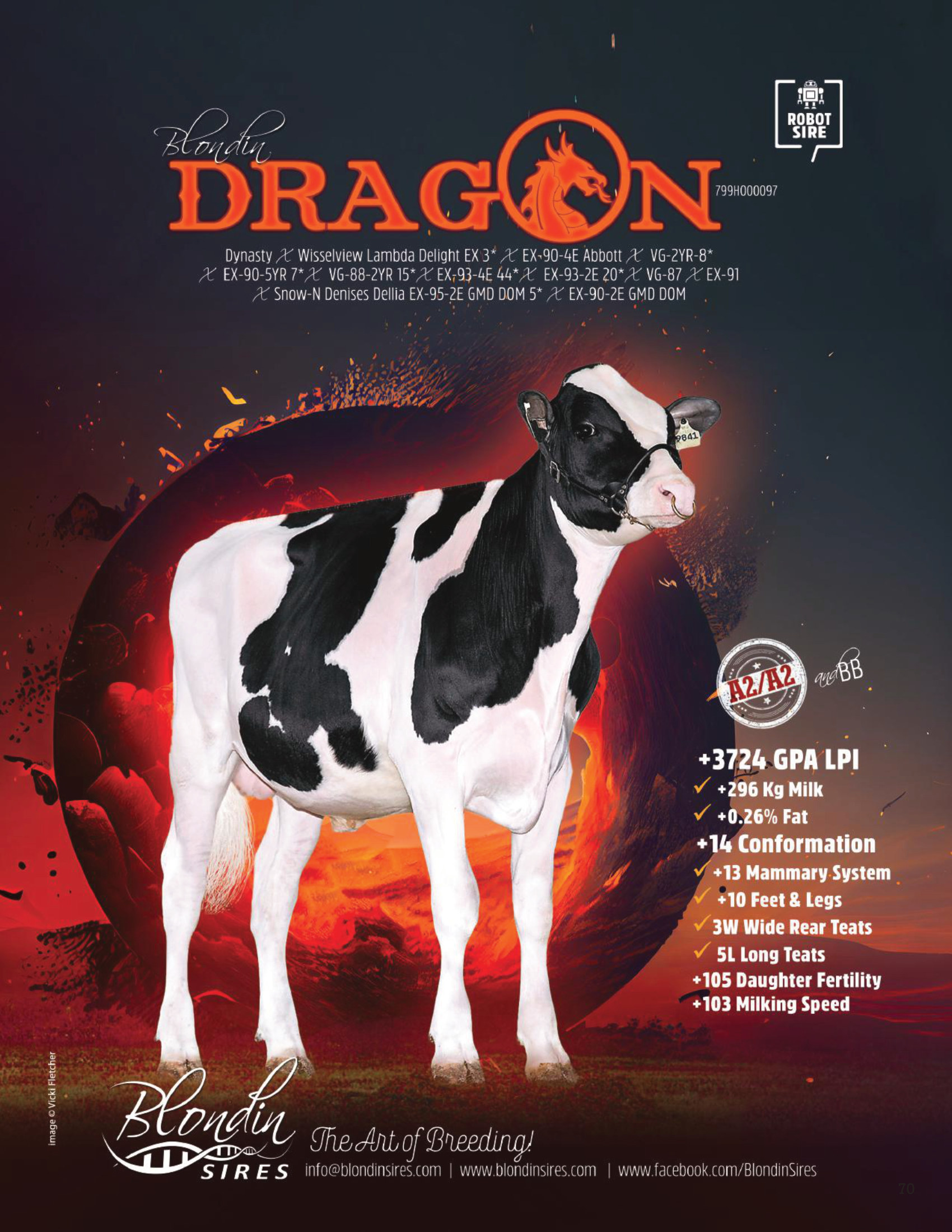 DRAGON — 799HO00097